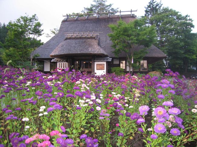 趣のある民家に見えますが、実はここ喫茶店（だったと思う…）で、店の前にも綺麗な花畑が。<br />ほんとにこの日だけでも色んなお花をたくさん満喫できたなぁ。