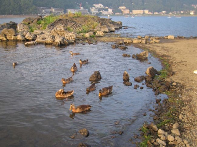 湖の前まで降りてみました。鴨たちが集まっての〜んびりと羽を休めていました。なんか癒される空間♪