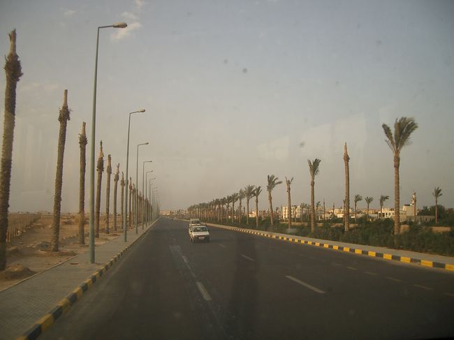 ホテルに移動するバスの中から。<br />バスの中には色んなホテルに宿泊する人がいるので、<br />順番にホテルを回って、お客さんを降ろしていきます。<br /><br />この道路の両脇にはパームツリーが植えられてるけど、<br />多分お水が足りなくて、そして風のせいで？<br />葉っぱがありません。<br />なんかかわいそうね。<br /><br />