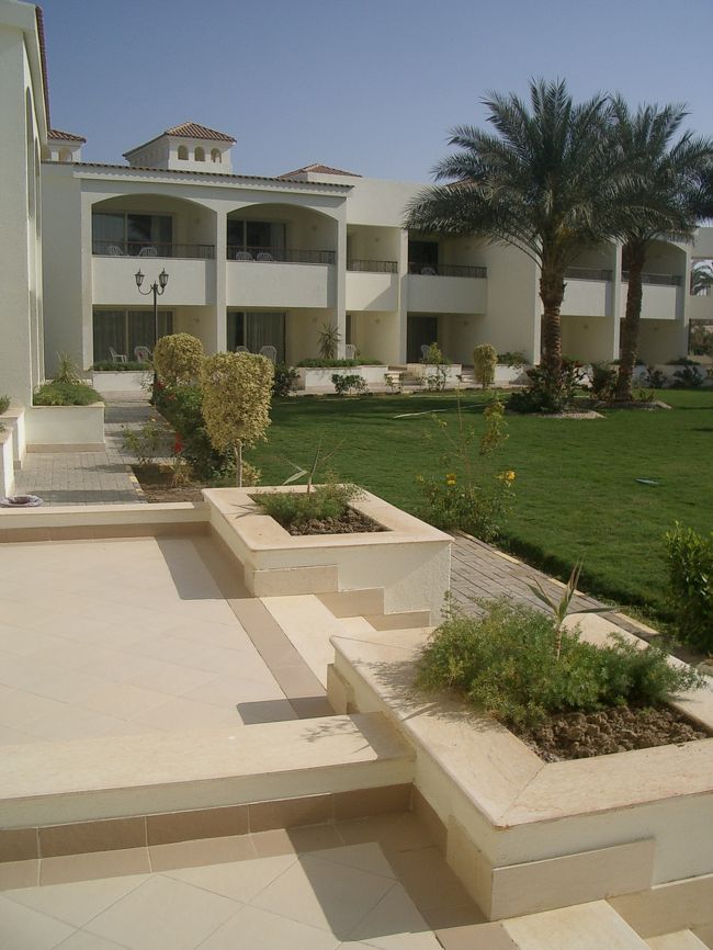 テラスからの眺め。<br />・・・横向き。