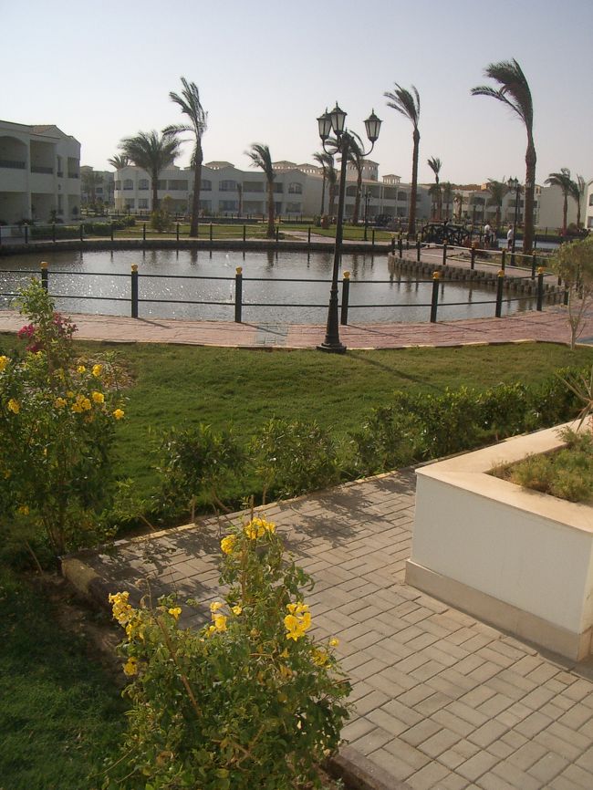 テラスからの眺め。<br />・・・正面（笑）<br /><br />パームツリーがちょっとかわいそう。。。