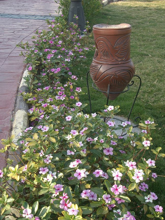 歩道脇にもちゃんと花が植えられてます。<br />そして、灰皿も雰囲気に合ってるし。<br />敷地内と建物はホントにキレイ。<br /><br />写真が多いので、続きは「ホテル編、その２」で見てくださいネ☆<br />「ホテル編、その２」はコチラ。<br />http://4travel.jp/traveler/ai_worldtravel/album/10090739/<br /><br />ＨＰ（http://www.geocities.jp/lieben_ar/）では、旅行の事や住んでるウィーンの事、色々書いてます。<br />興味のある方は、そちらもヨロシク♪