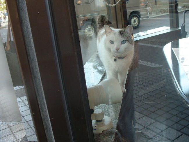 怪しい者ではありません。<br />客でもないけど。