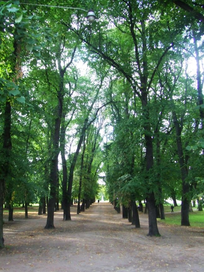 近所。ノルウェーの森ってどんな話だっけ？<br /><br />Day 72/オスロ（ノルウェー）<br />●国立美術館でムンク。オスロでは友達がネパール留学時代に一緒だったというトゥネのお世話になる。手料理食べさせていただいたあと、フログネル公園で人間の縮図を見る。(8/29)<br />