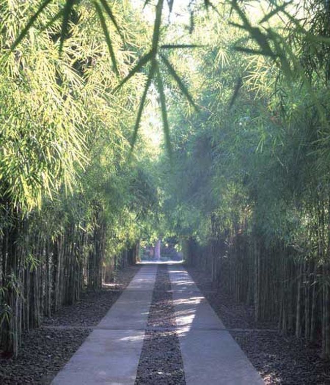 ホテルの入り口。そんなに有名なホテルではない上に入り口の間口が狭いのでタクシーのおじさんもうっかり見落とす。夜だしね。朝通ると竹林がとってもステキな入り口でした。