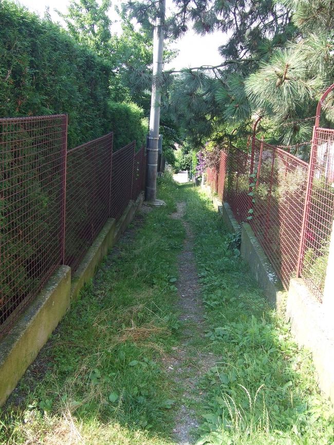 ほんとにこんな道を？？泣きそう。