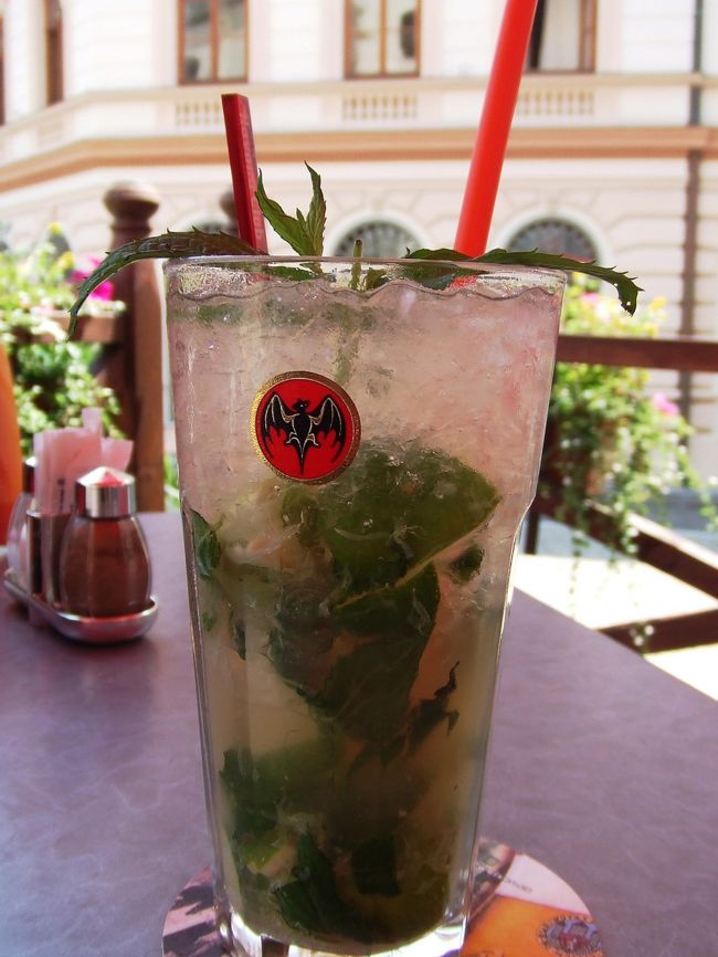 モヒート！！<br />ミントざくざく、砂糖じゃりじゃり。<br />おいひ〜〜<br />生き返ったところで、プラハに戻るか。<br />インフォメーションのお姉さんが時刻表を打ち出してくれました。