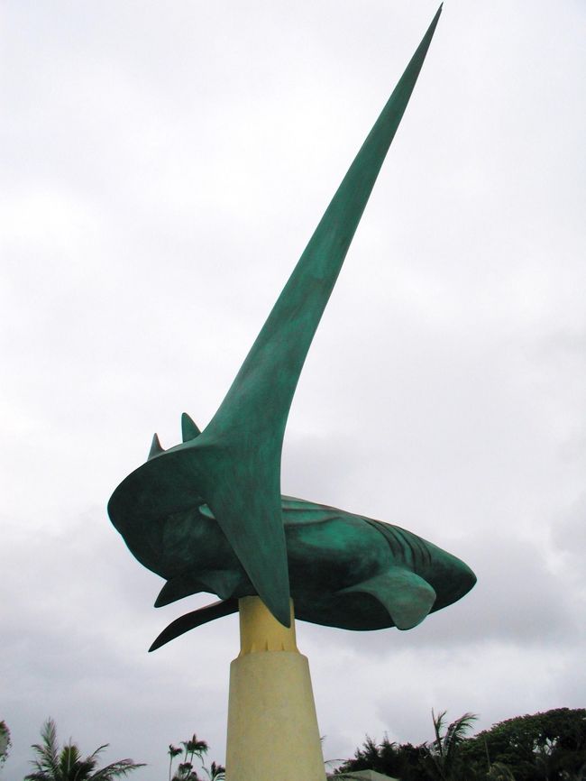 夕方『美ら海水族館』へ　閉館ぎりぎりに飛び込みセーフ