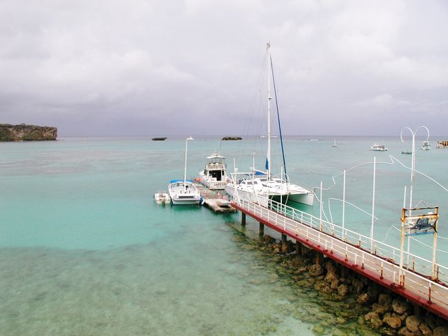 次の日は、ホエールウォッチングへ<br /><br />運良く追加料金もなく我が家で貸切にしてもらえました＾＾