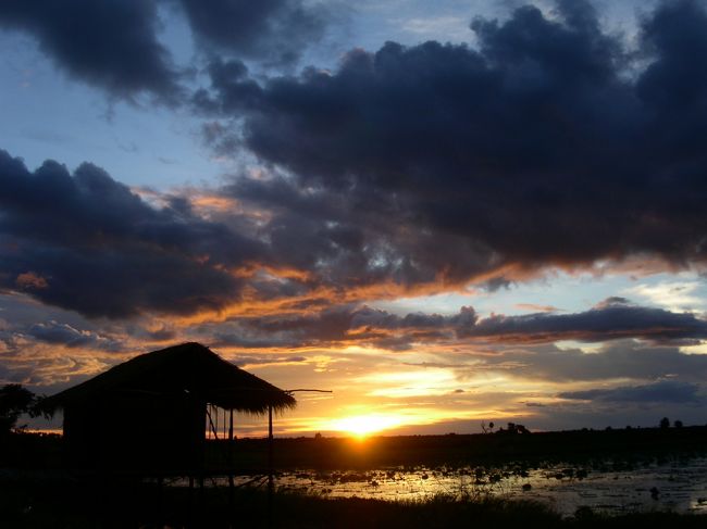 シェムリアップの南、ボート乗り場などへ行く途中に地元の人々が過ごすハンモック＆フィッシングレストランでの1コマ。<br />各テーブル(というよりゴザ)の両脇にはハンモックがあって、そこで、ビールに酔っ払いつつぼんやりしたり、岸辺にあるので、その場で釣竿(というより、細い枝とタコ糸と釣り針)を買って、小魚を釣ってもよし。なんだかとってもいい感じです。<br />ここで、蛇のスープを食べました。<br />ゴムみたいです。