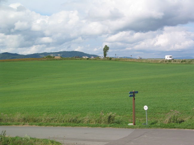 そして、美瑛へ。セブンスターの木のある付近の駐車場より。