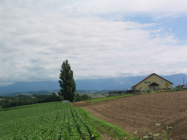 ケンとメリーの木付近。思っていたよりでかい！