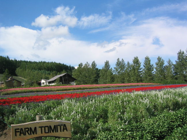 所変わってファーム富田。<br />こちらもラベンダーはありませんが、<br />（温室にちょこっと残ってましたが）<br />目を楽しませてくれるお花畑を満喫できました。<br />こちらでは、カットメロンをいただきましたが、<br />ちょっと硬かった・・・。