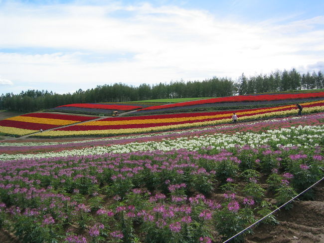 売店で買ったコロッケを食べながら<br />きれいな花畑と雄大な景色を堪能しました。