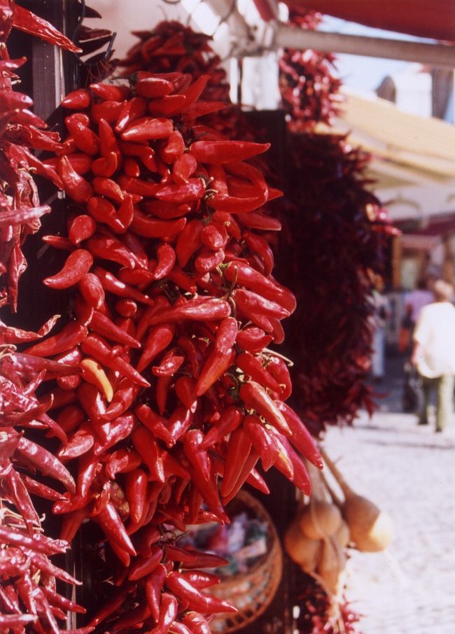 さすがハンガリー！