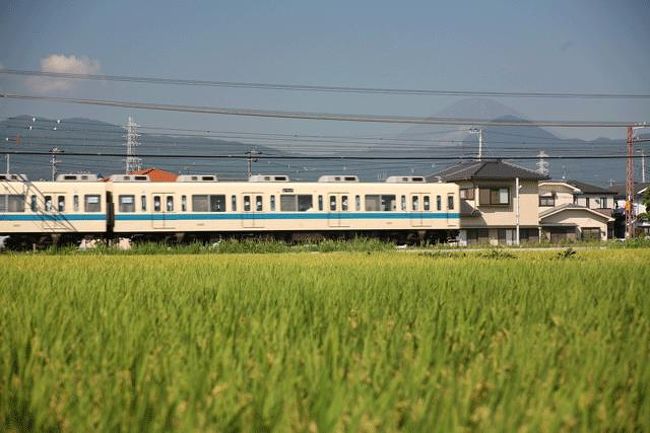 電車のバックに富士山が見えます。