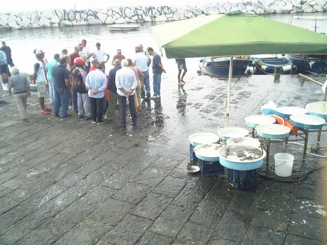 海沿いを歩いていると、漁師が捕った魚を売ってました。海の街らしい光景。<br /><br />その後、駅に向かいナポリからローマへ。