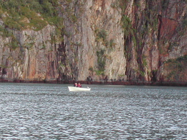 手を振ったら振り替えしてくれた。<br />やさしい・・・。