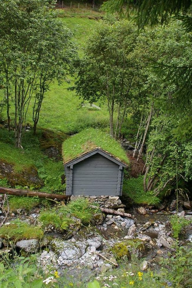 オスロの博物館で見た家みたいに屋根に草がある小屋がありました。果たして実際使っているかは不明ですが、博物館以外にちゃんと普通のところにもあってうれしかったです。