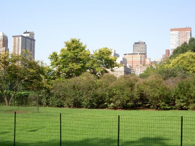 〜セントラルパーク・その1〜<br />高層ビルに囲まれた中にあるセントラルパークは、緑がいっぱいのオアシスといった感じでしょうか。