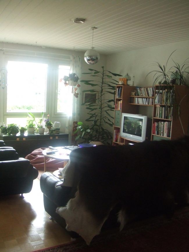 Day 49/ヘルシンキ→オウル（フィンランド）<br />●北へ7時間。アイリッシュの友人オリバーの住むオウルへ！やっと約束果たせた〜。オリバーとは6年くらい前日本で知り合って以来のつきあい。フィンランド在3年。(8/6)<br />