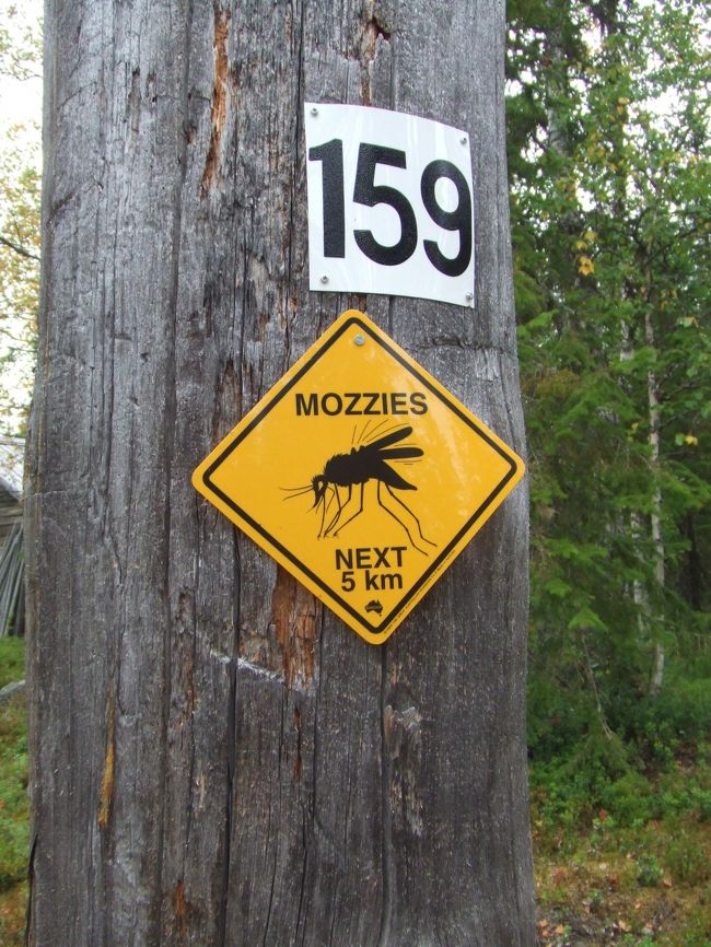 ６〜７月は蚊の猛攻にあう。