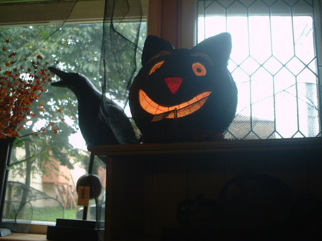 くろニャーとカラス。<br />コワカワイイ。<br />