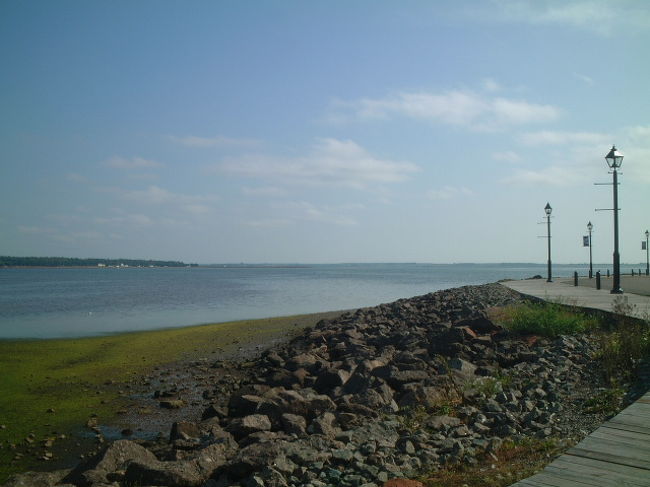 海沿いウォーキングはたのし。