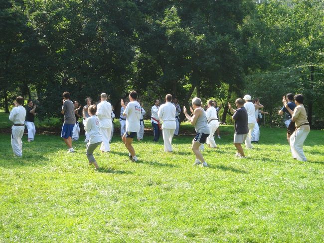 〜セントラルパーク・その5〜<br />空手をする人々。<br />「イチ！ニ！」の掛け声で空手だとわかりました。<br />他にもビーチバレーを楽しむ人や、ジョギング・イヌの散歩をする人など様々な人がいます。<br />ベビーカーを転がしてジョギングする人もいました。