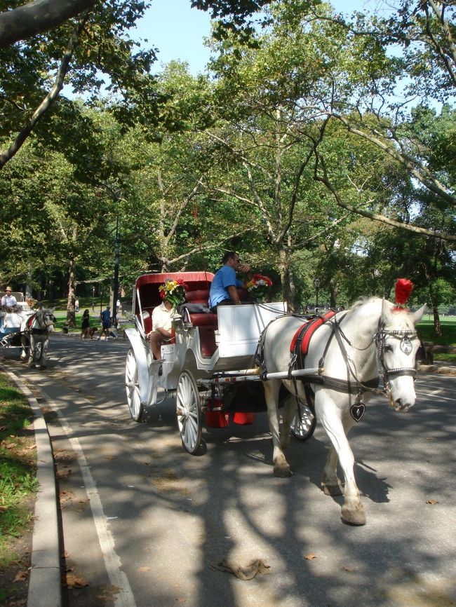 〜セントラルパーク・その6〜<br />園内は馬車が走っています。そのほかにも自転車タクシーも走っていました。<br />なので道のところどころに馬糞が・・・。<br />これは観光客用でしょうね。