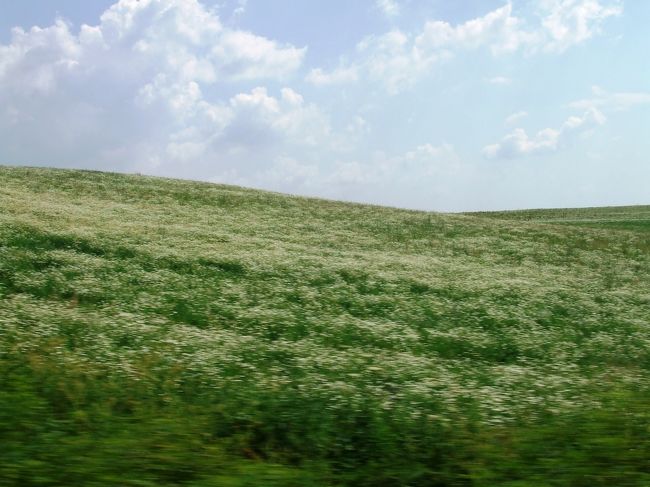 ひとり『世界の車窓から』を満喫。