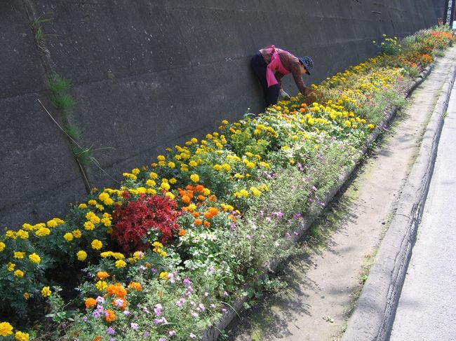 万座鹿沢口に到着。JR吾妻線の終点「大前」まで約3キロを歩いてみたいと思います。