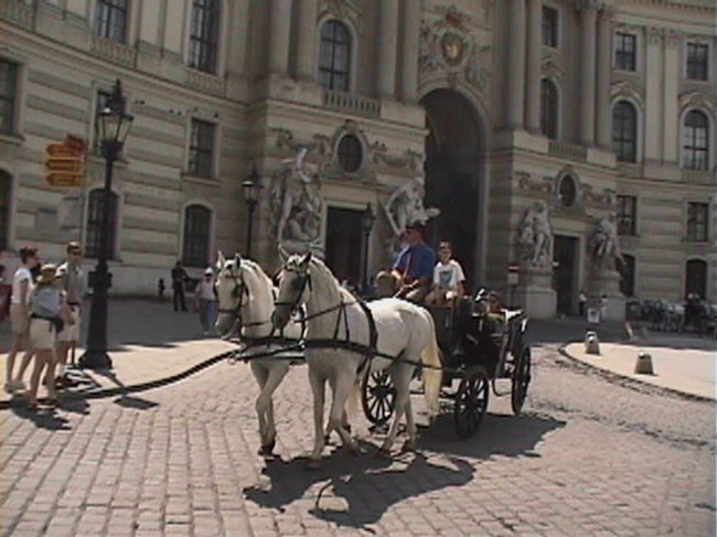 ウィーンの街を散策　白馬の馬車がやってきました。