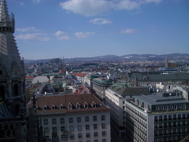 大聖堂の塔からの景色。