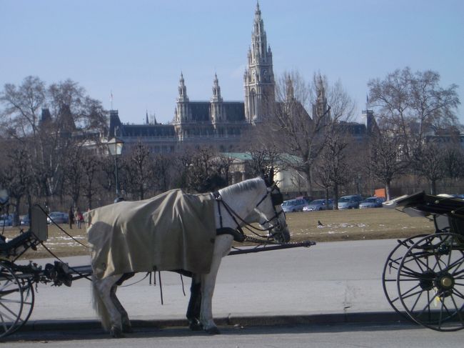 市庁舎と馬車。<br />市庁舎は夜になるとライトアップされ、とてもきれいでした。