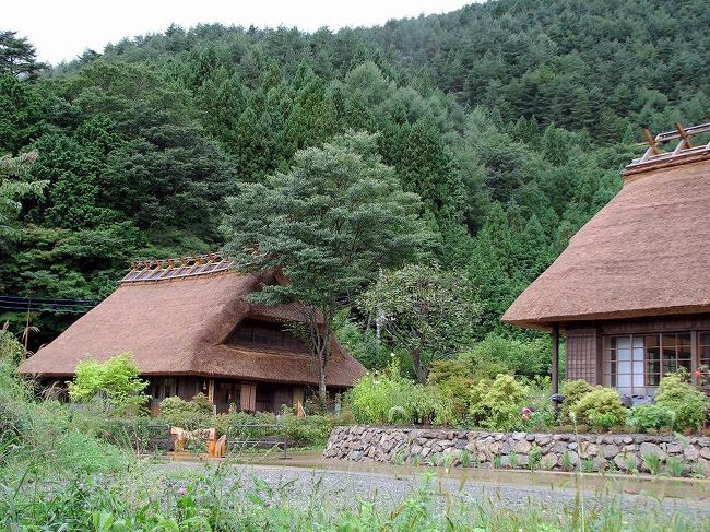 富士五湖の一つ　西湖の近くの集落<br />根場は以前　台風で大きな被害を受けて<br />もともと茅葺の家が多い集落。<br />目の前に富士山、の素晴らしい立地条件を生かして<br />現在は土地を整備して。<br />茅葺の家々を此方に集めて復原中。