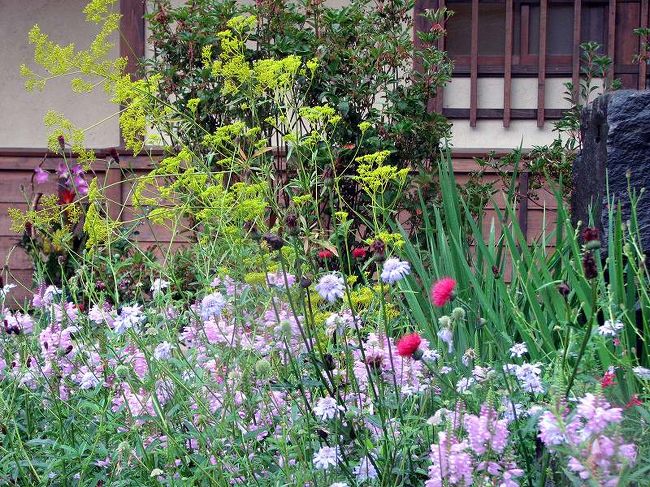 土地が豊かなのか、<br />土地の人の心が豊かなのか、<br />アチコチに美しい花が咲き誇っています。