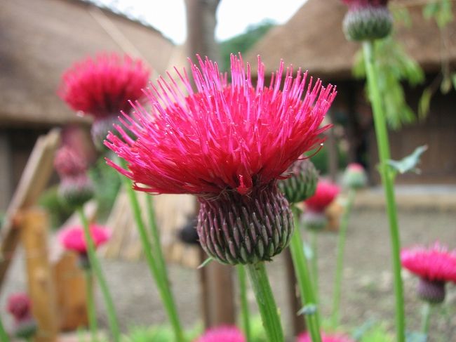 その?へ　　　完