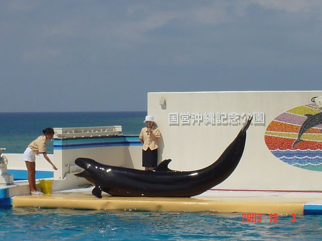 全部出来上がっていなかった『ちゅら海水族館』<br />館外ではイルカのごんちゃんがショーをしていました。