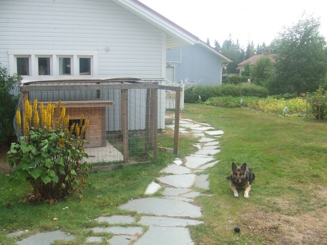 Day 58/オウル（フィンランド）<br />●家事、アラの散歩。ヨガ。市場やデパートを覗く。居心地良くてまるで暮らしてるみたい。(8/15)<br />