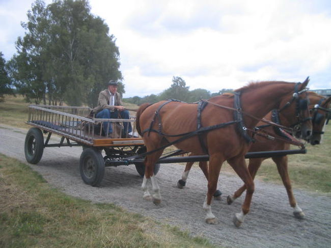 コンサート会場の脇です