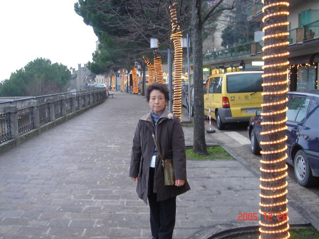 荷物を置いて、夕食までの時間近くを散策<br />街路樹には、派手ではないクリスマスのイルミネーションが・・・