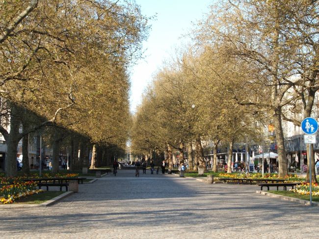 ここからはプラタナス並木が美しいハウプト通りが続きます。気持ちよく散策できそうなところですが、この先には見所もないし、既に相当な距離を歩いていたので、断念しました。。<br /><br />この近辺には、その外観から「日本宮殿」と呼ばれる建物が建っていますが、何てことない普通の建物。がっかりでした。