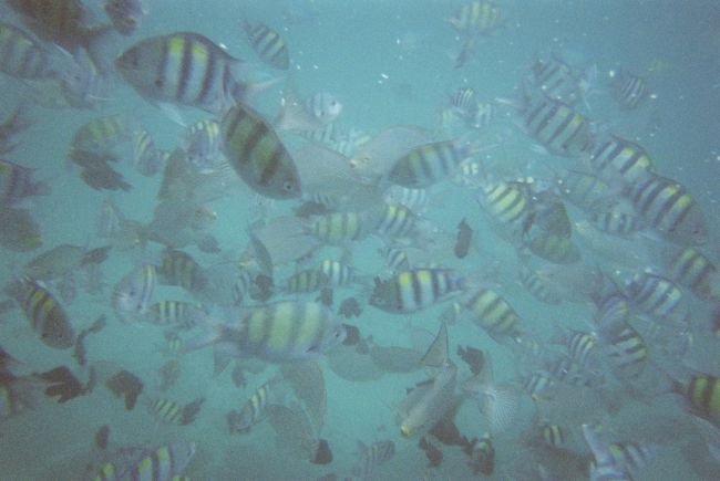 もーーーーー！！！！