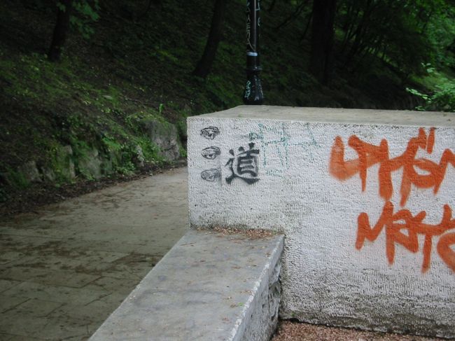 「道」？