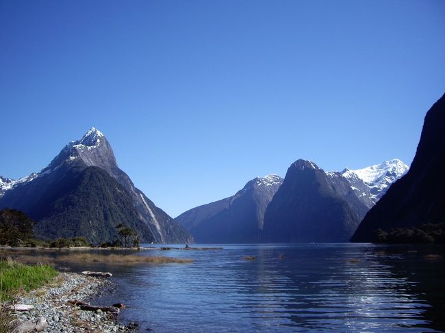 Milford Soundです。<br />ここではクルーズをしました。