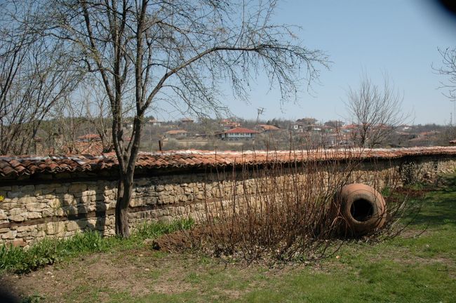 コンスタンツァリエフ・ハウスの中庭には李の花がきれいに咲いていました。