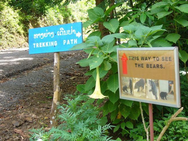 滝に行く前の道には熊とトラが飼育されてます。