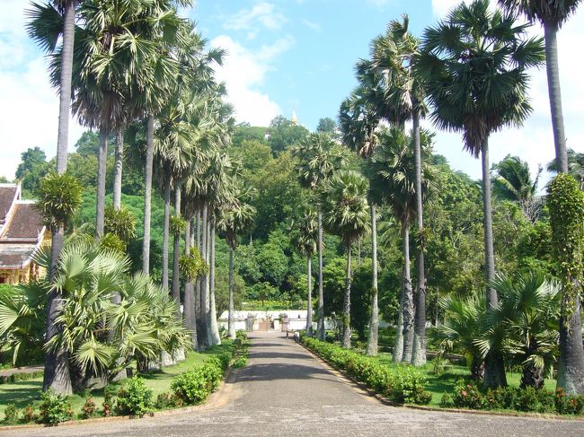 王宮からプーシーの眺め。