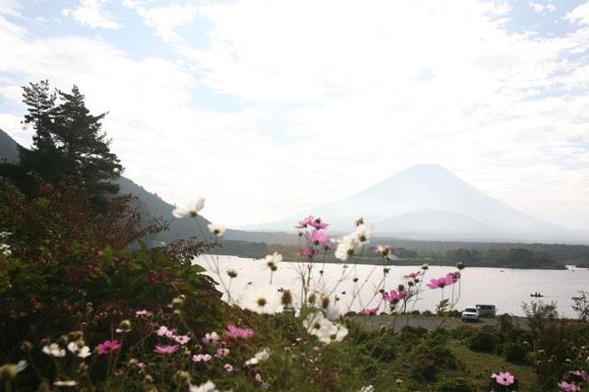 少しアングルを変えてみました。